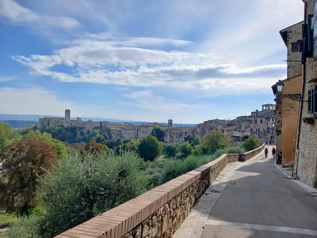 Colle di Val d'Elsa · il borgo visto dalle mura